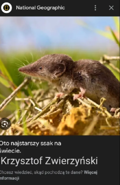 Plik:Krzysztof Zwierzyński.png